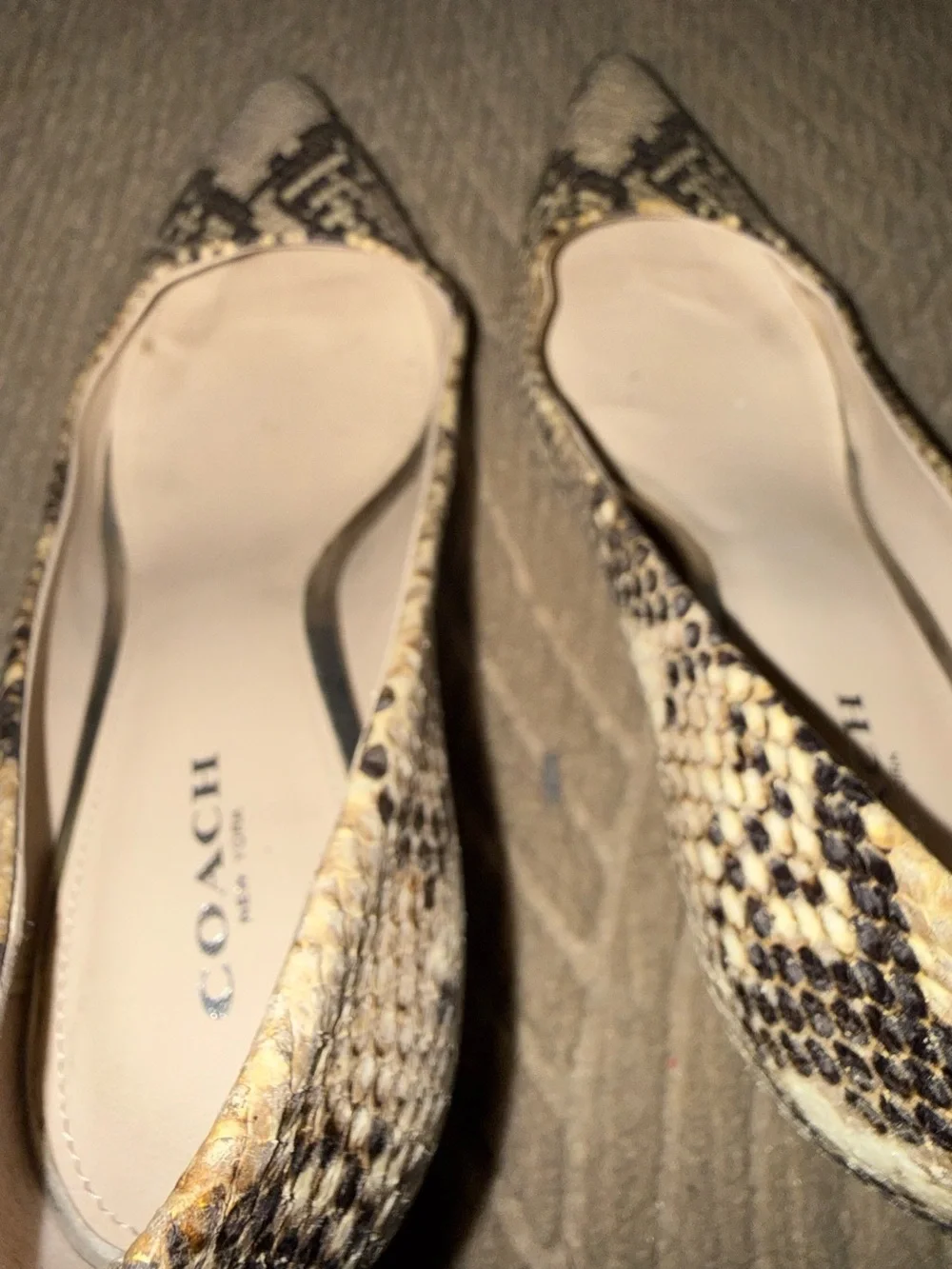 VTG COACH Snakeskin kitten heel pumps.  7.5. GREAT CONDITION